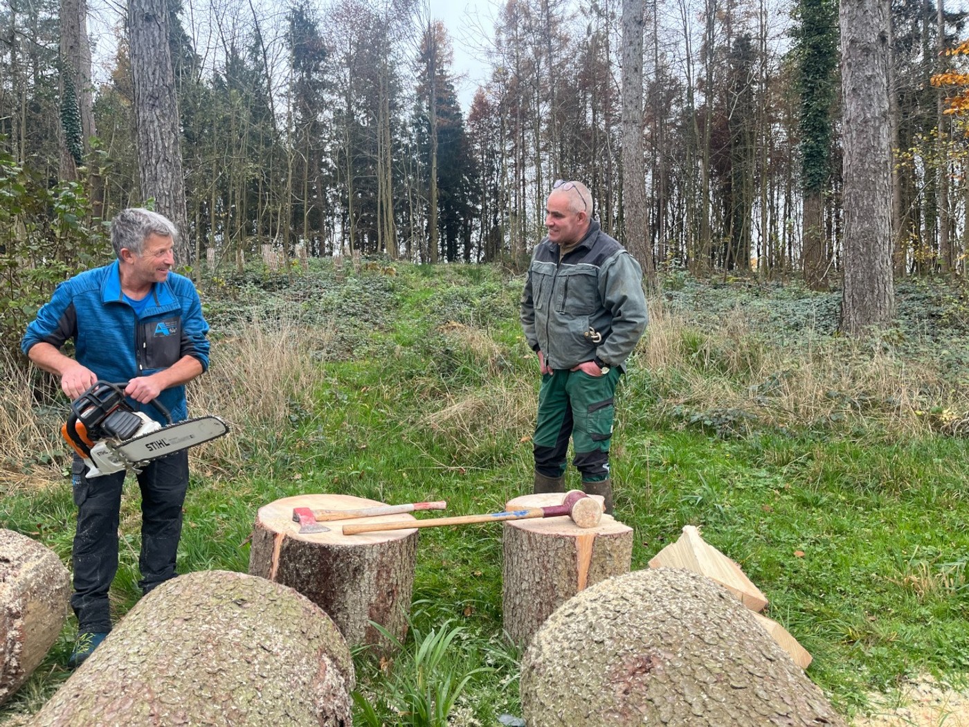 20250408 06 IMG_4769.JPG